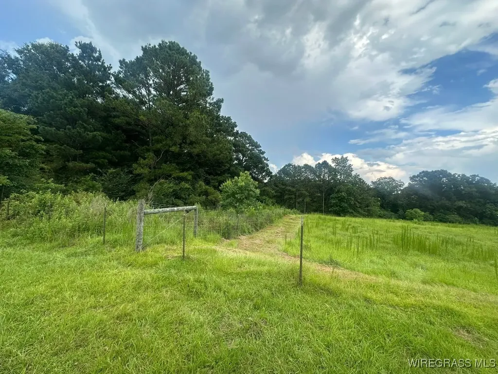 0 S Main Street Brundidge AL 36010