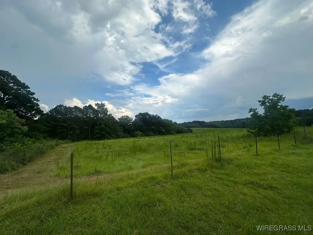 0 S Main Street Brundidge AL 36010