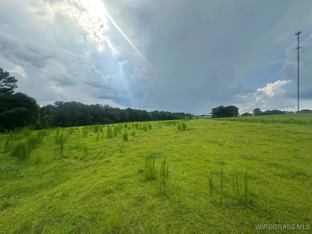 0 S Main Street Brundidge AL 36010