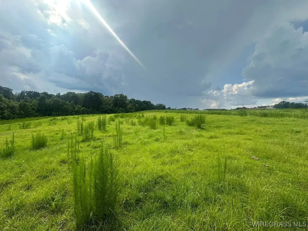 0 S Main Street Brundidge AL 36010