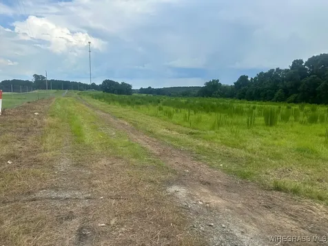 0 S Main Street Brundidge AL 36010