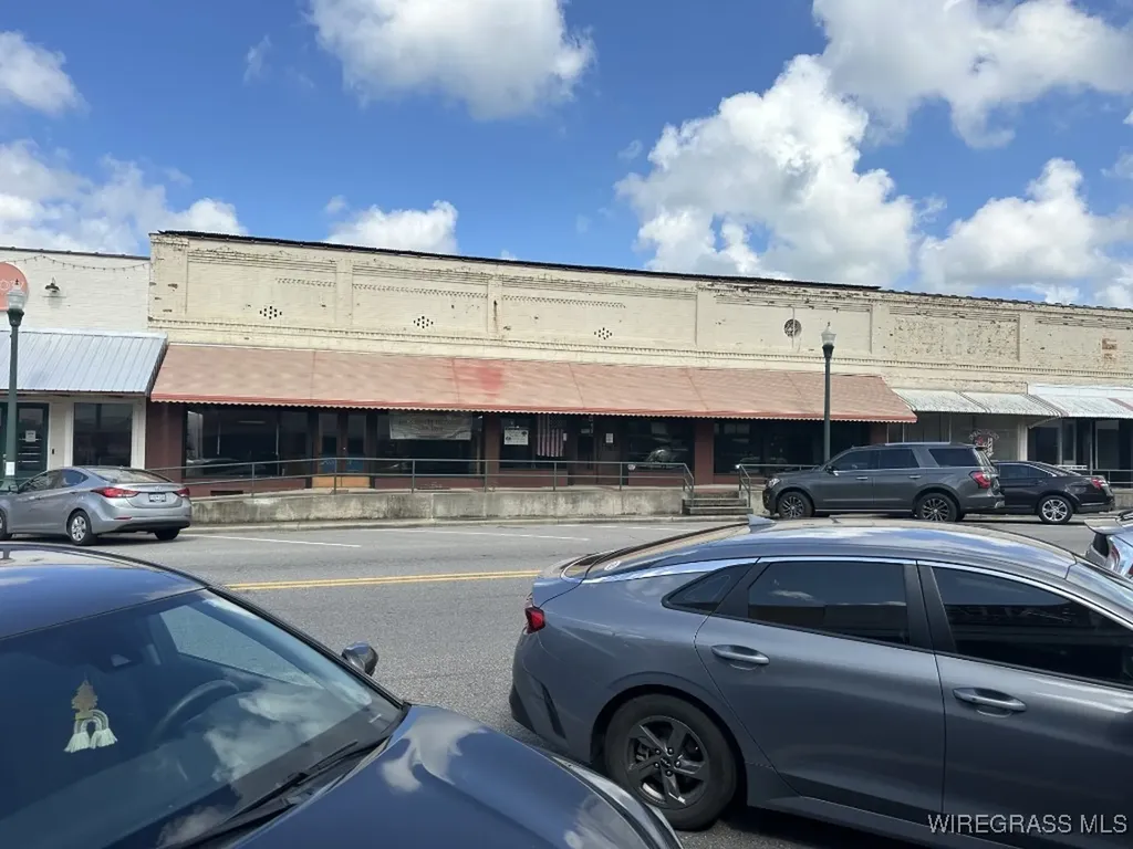 111 S Main Street Brundidge AL 36010