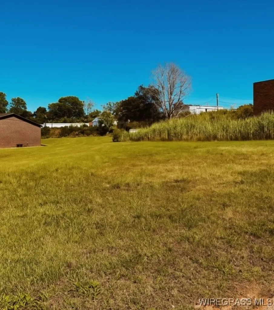 0 Springdale Avenue Enterprise AL 36330