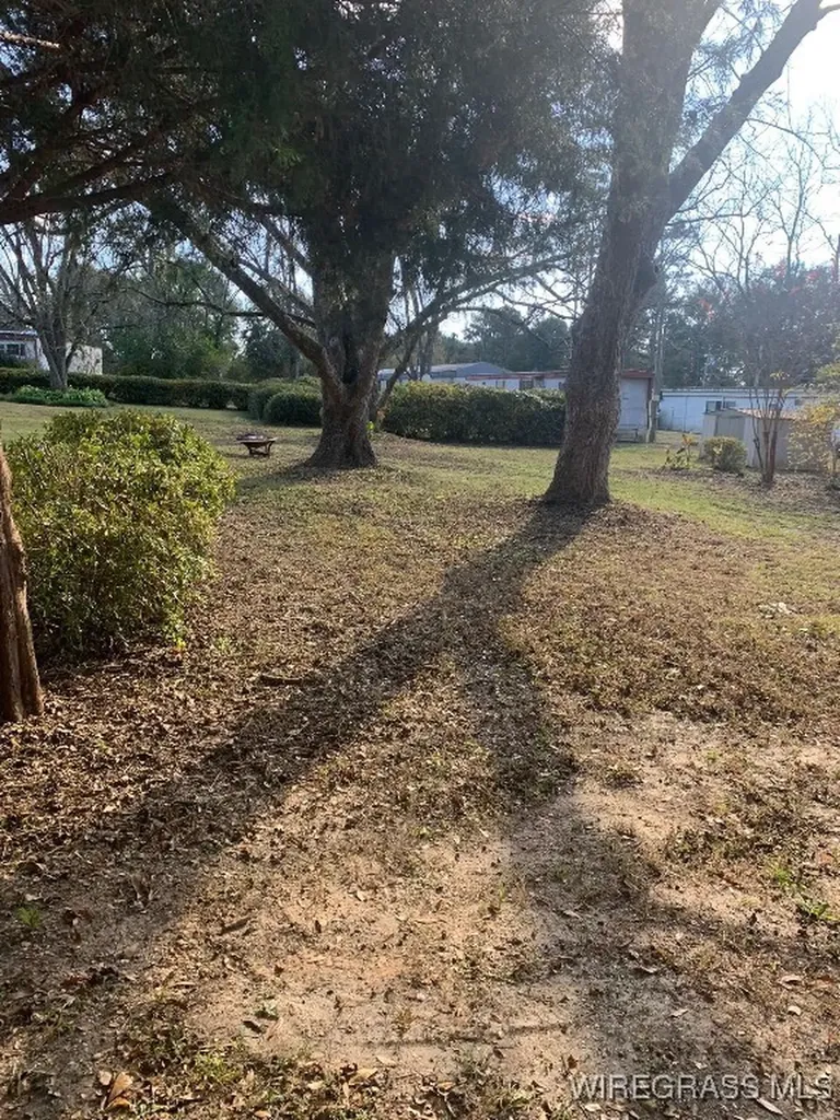 220 County Road 401 Elba AL 36323