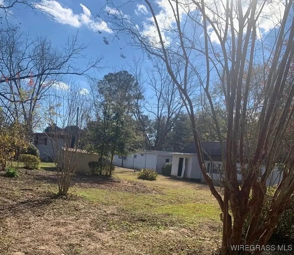 220 County Road 401 Elba AL 36323