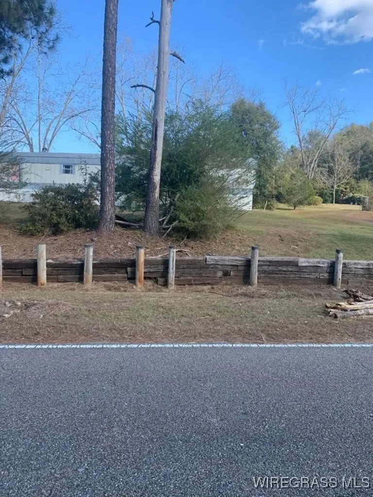 220 County Road 401 Elba AL 36323