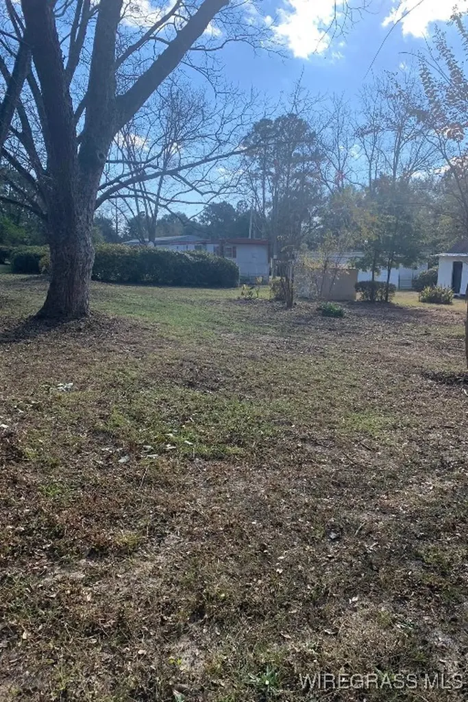 220 County Road 401 Elba AL 36323