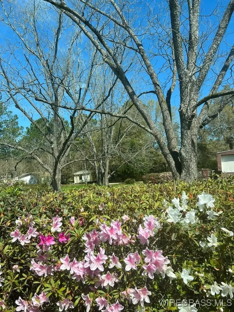 220 County Road 401 Elba AL 36323