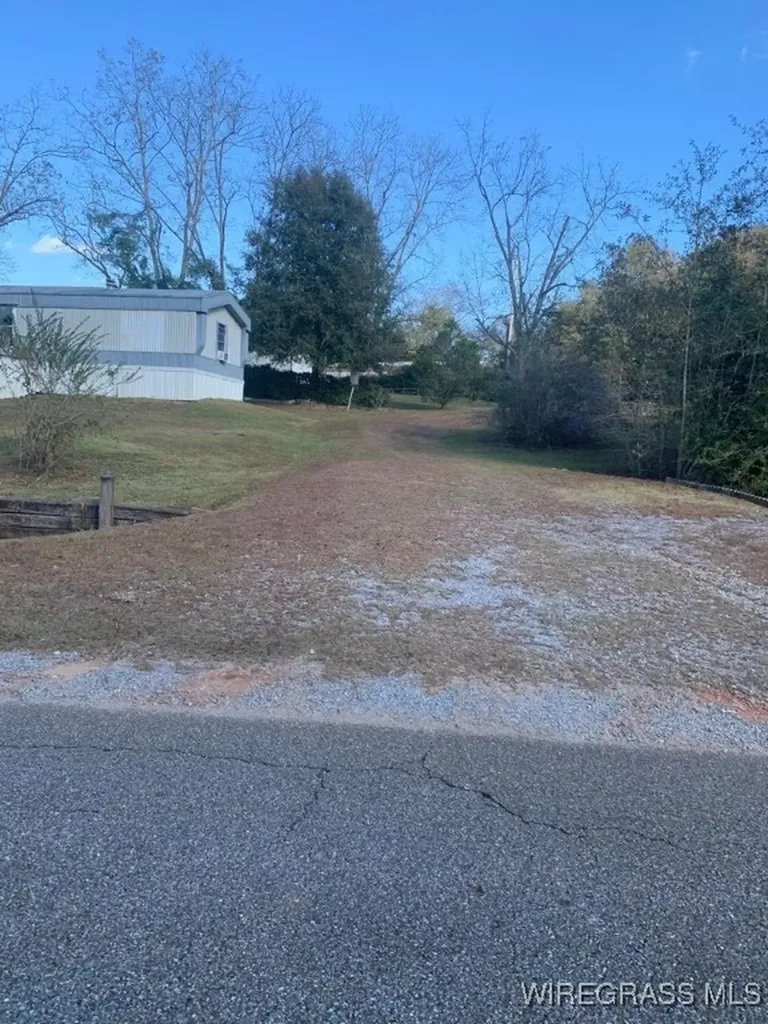 220 County Road 401 Elba AL 36323