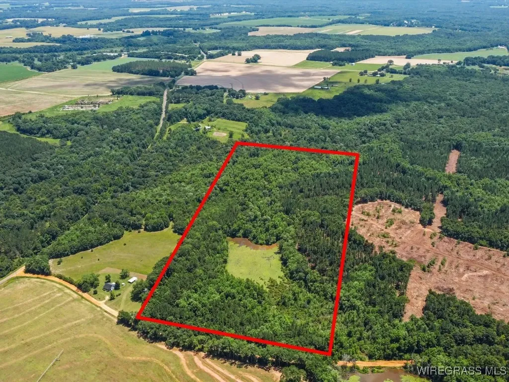 60 J L Hogan Road Coffee Springs AL 36318