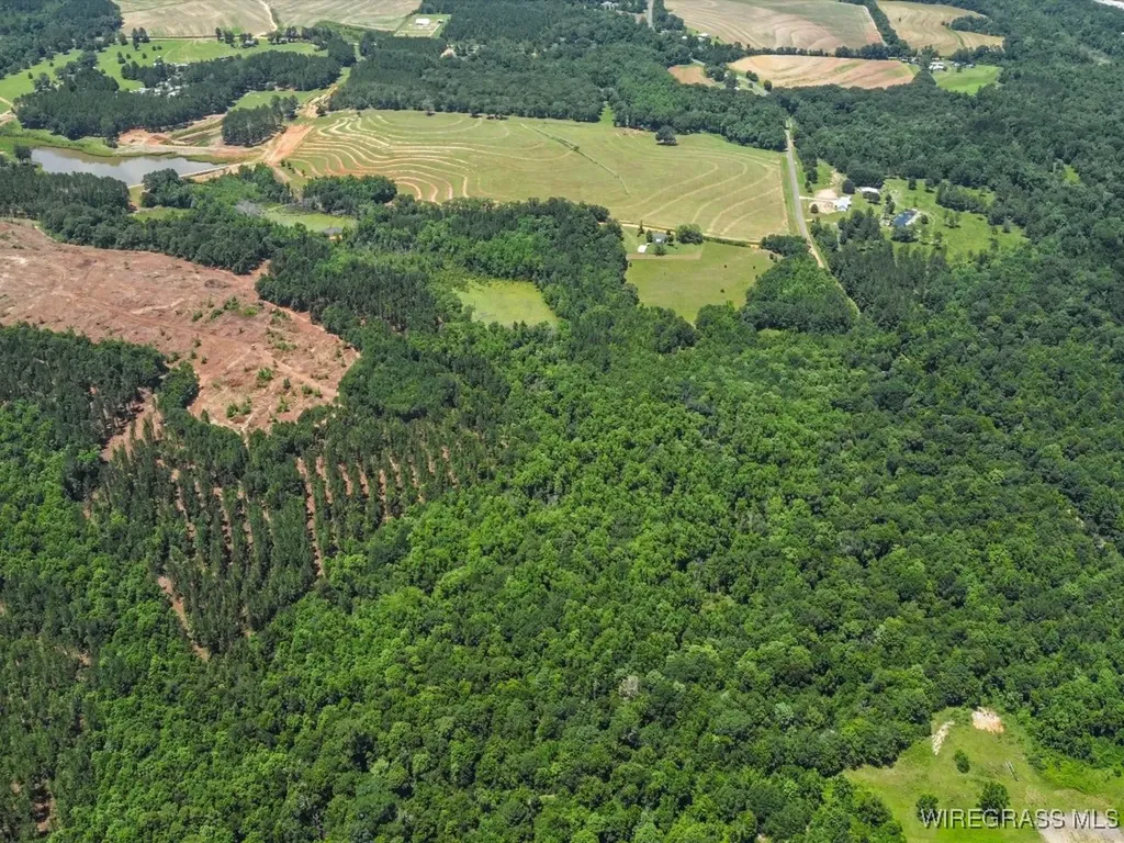 60 J L Hogan Road Coffee Springs AL 36318