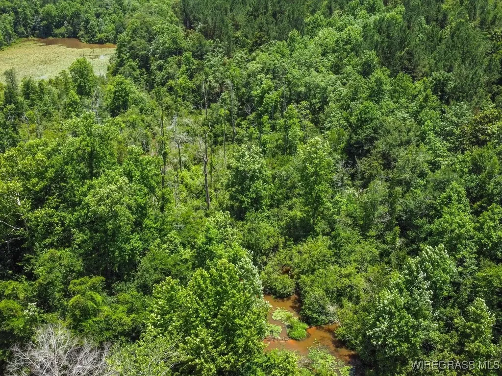 60 J L Hogan Road Coffee Springs AL 36318