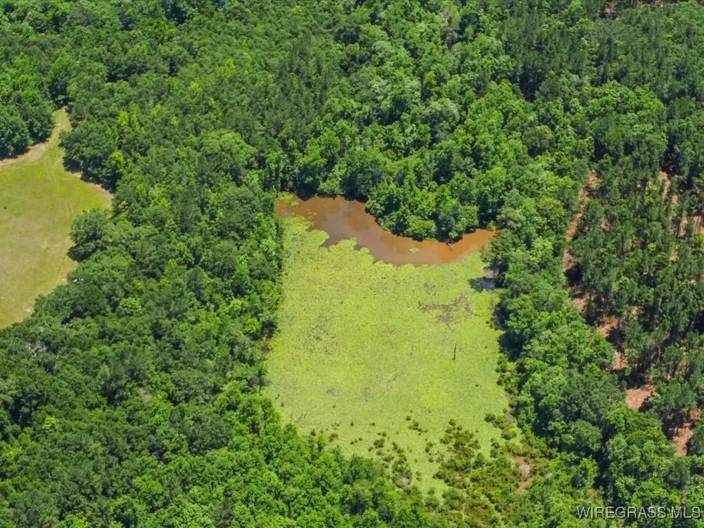 60 J L Hogan Road Coffee Springs AL 36318