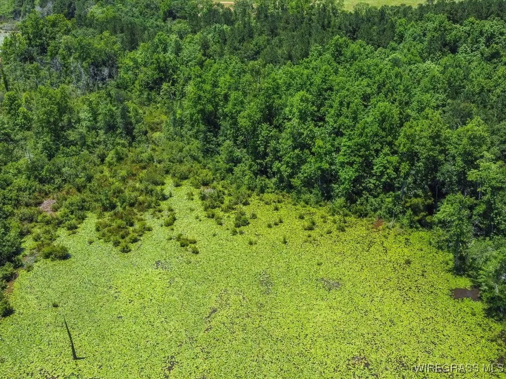 60 J L Hogan Road Coffee Springs AL 36318