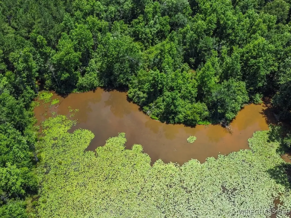 60 J L Hogan Road Coffee Springs AL 36318