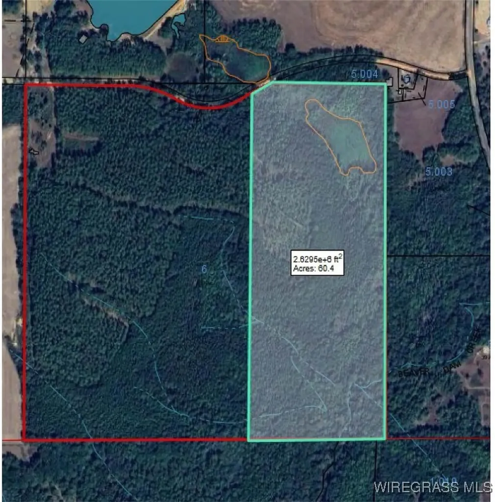 60 J L Hogan Road Coffee Springs AL 36318