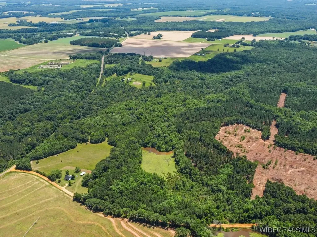 60 J L Hogan Road Coffee Springs AL 36318