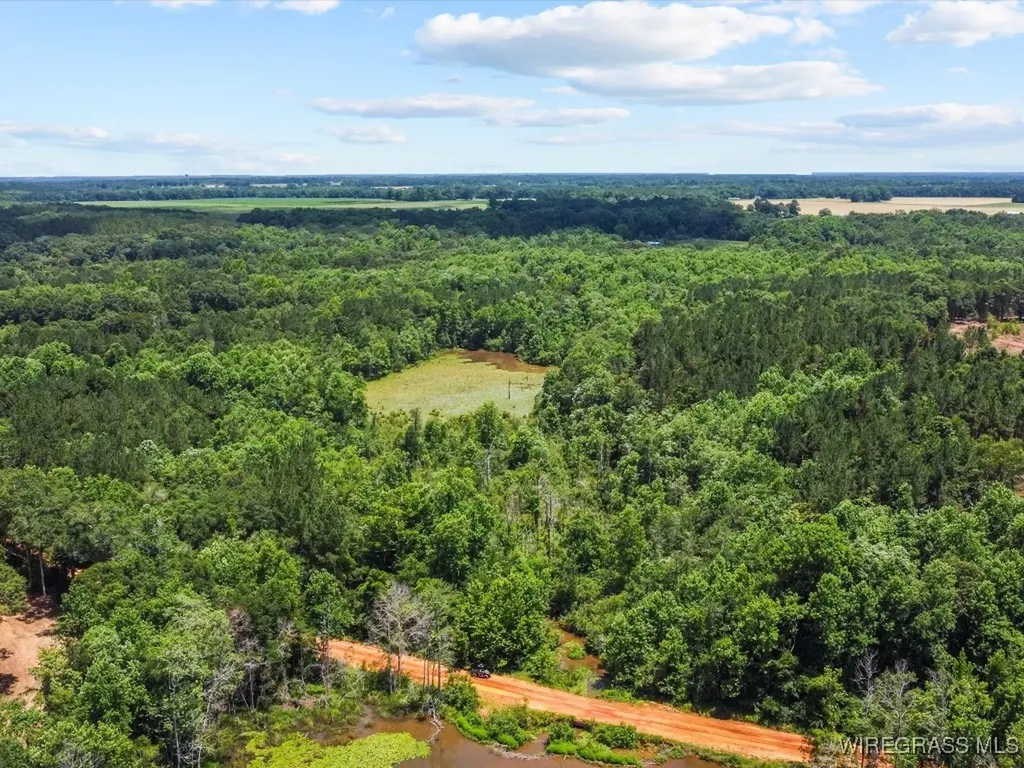 60 J L Hogan Road Coffee Springs AL 36318