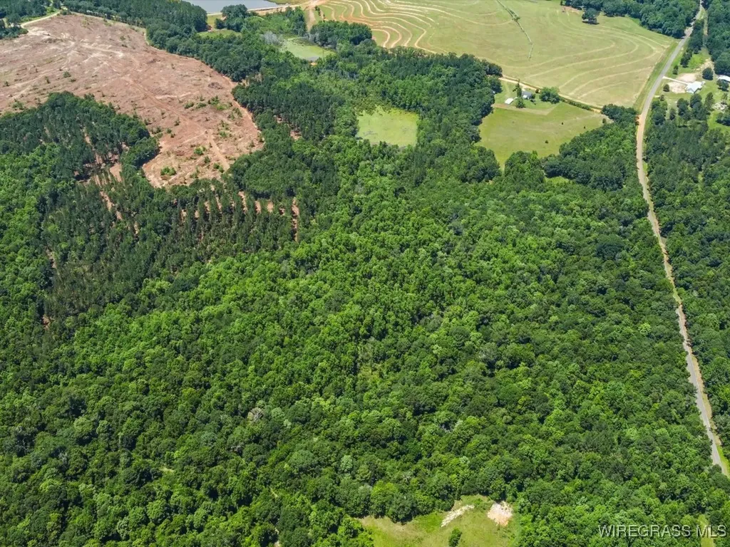 60 J L Hogan Road Coffee Springs AL 36318