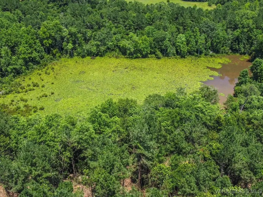 60 J L Hogan Road Coffee Springs AL 36318