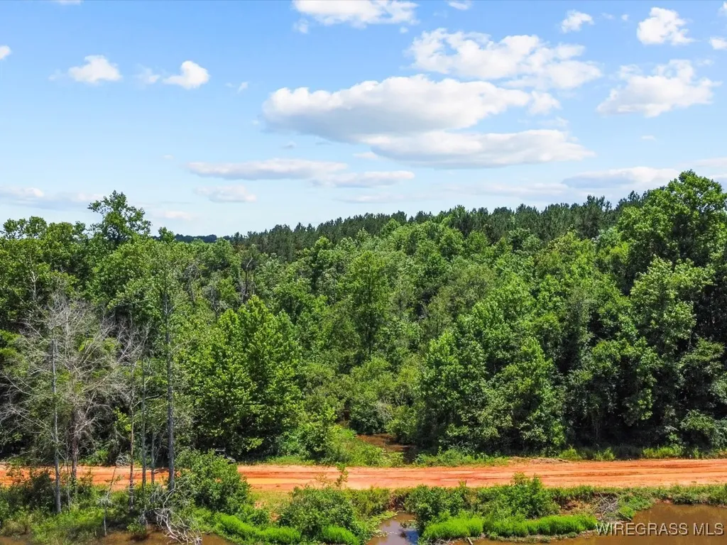 60 J L Hogan Road Coffee Springs AL 36318