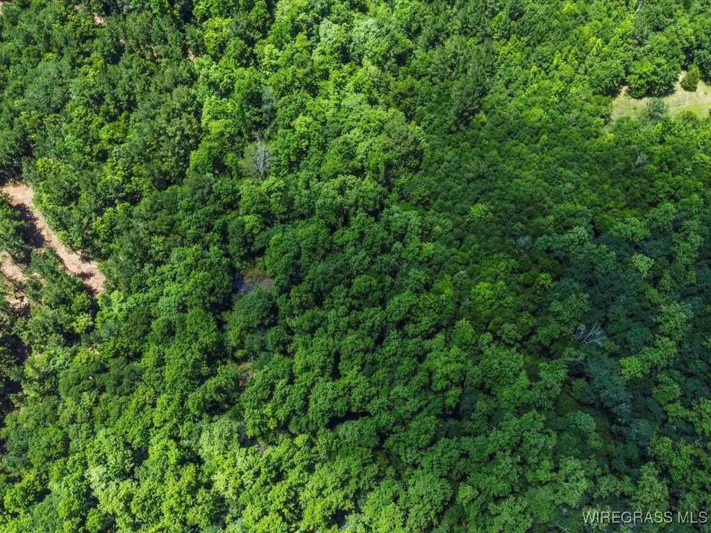 60 J L Hogan Road Coffee Springs AL 36318