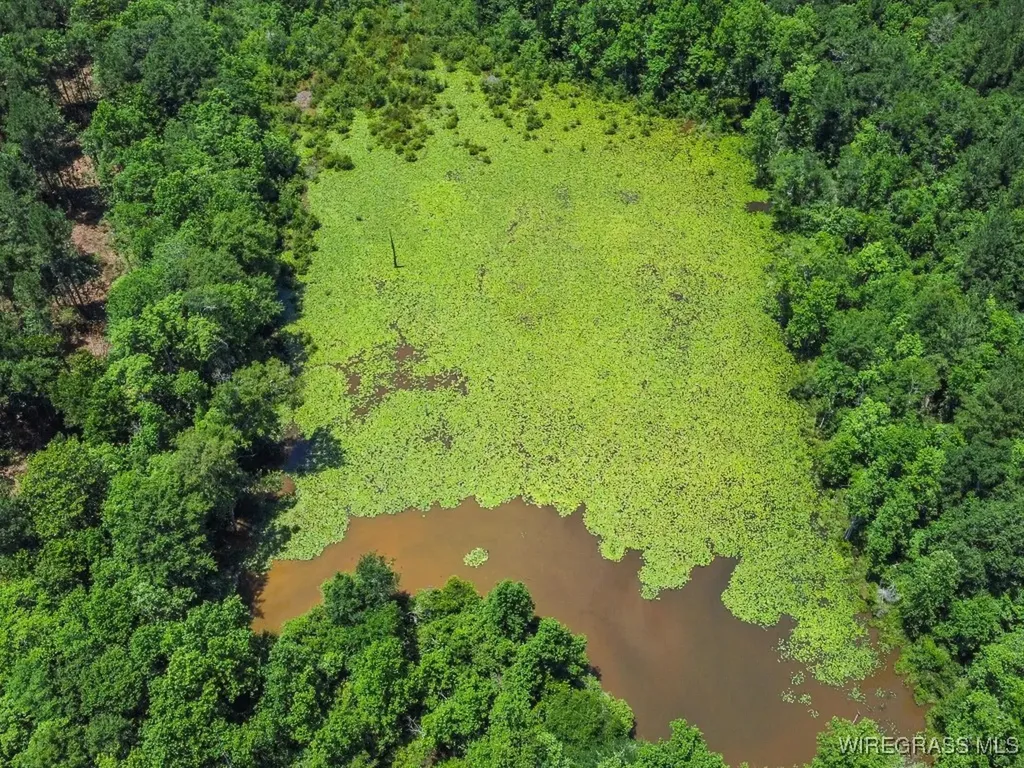 60 J L Hogan Road Coffee Springs AL 36318