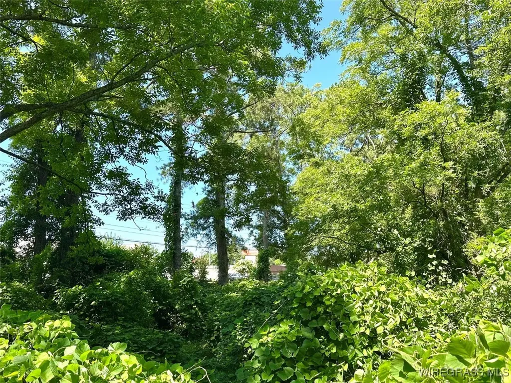 641 Glover Avenue Enterprise AL 36330