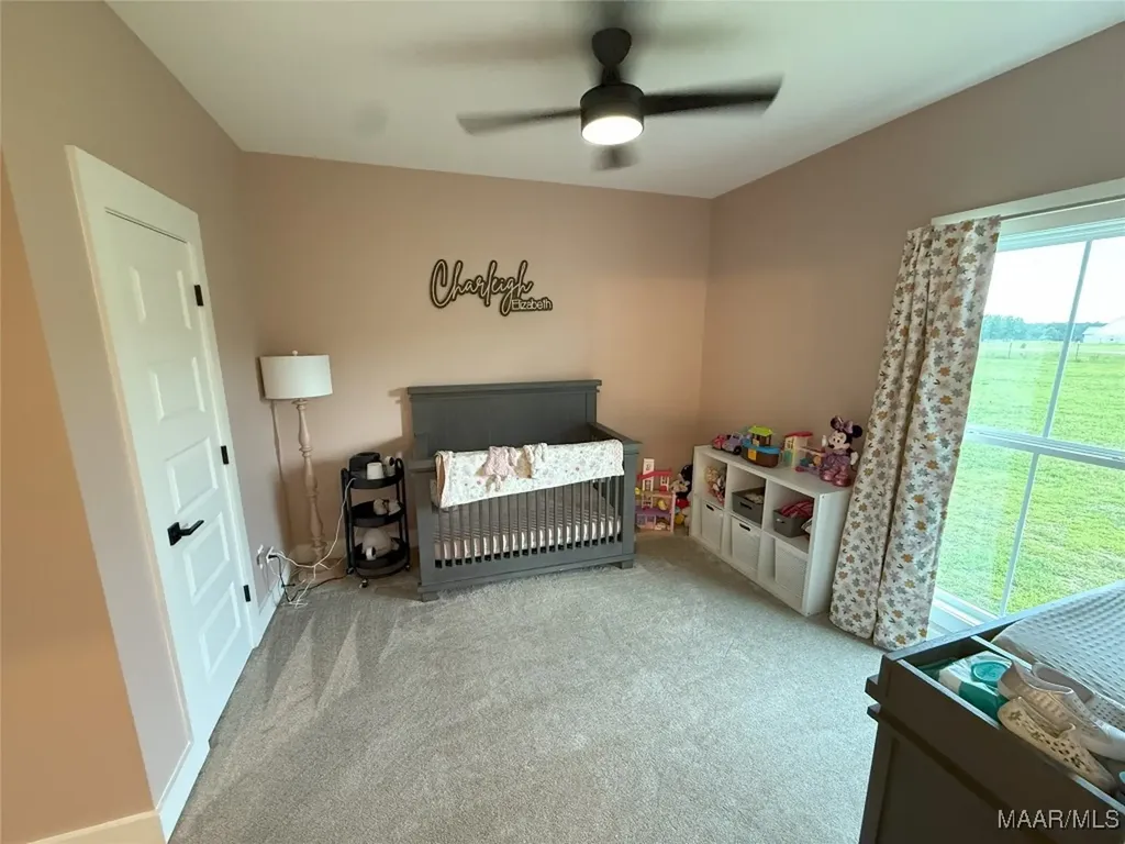 390 County Road 11 Road Headland AL 36345