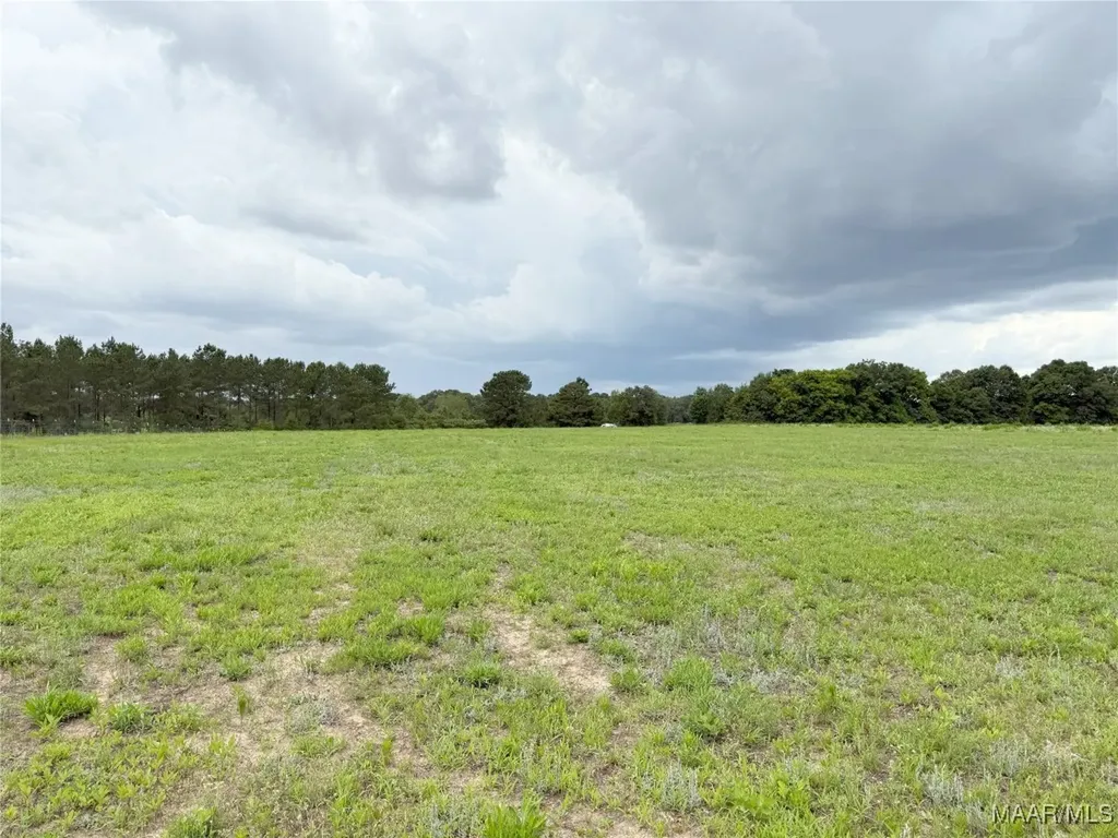 390 County Road 11 Road Headland AL 36345