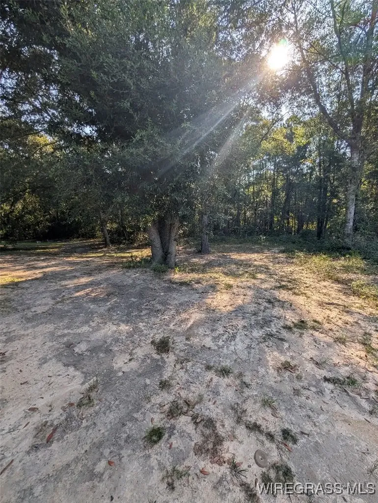 433 Joe Cook Street Cottonwood AL 36320