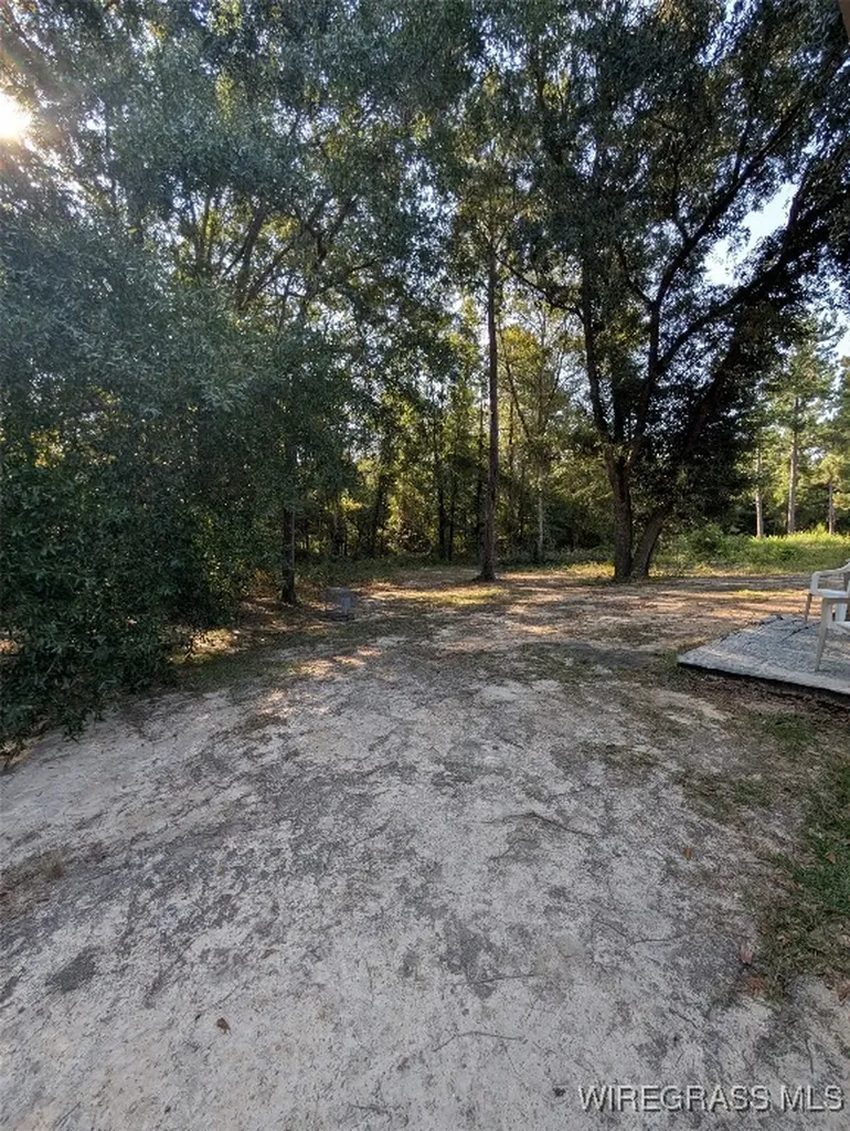 433 Joe Cook Street Cottonwood AL 36320