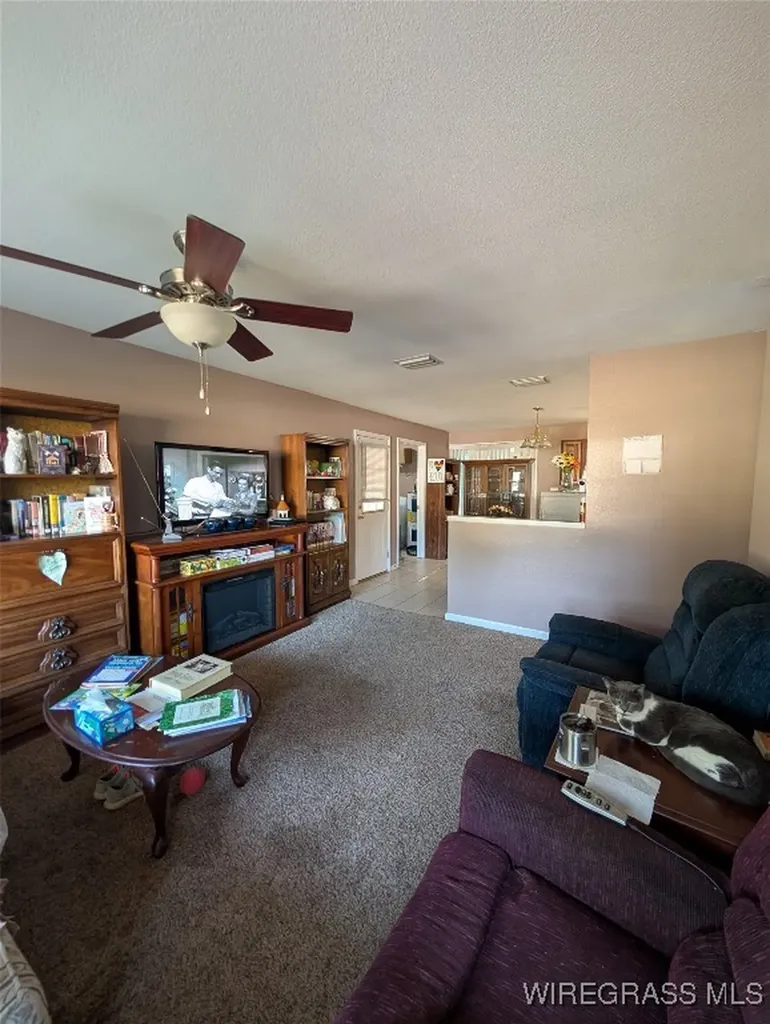 433 Joe Cook Street Cottonwood AL 36320