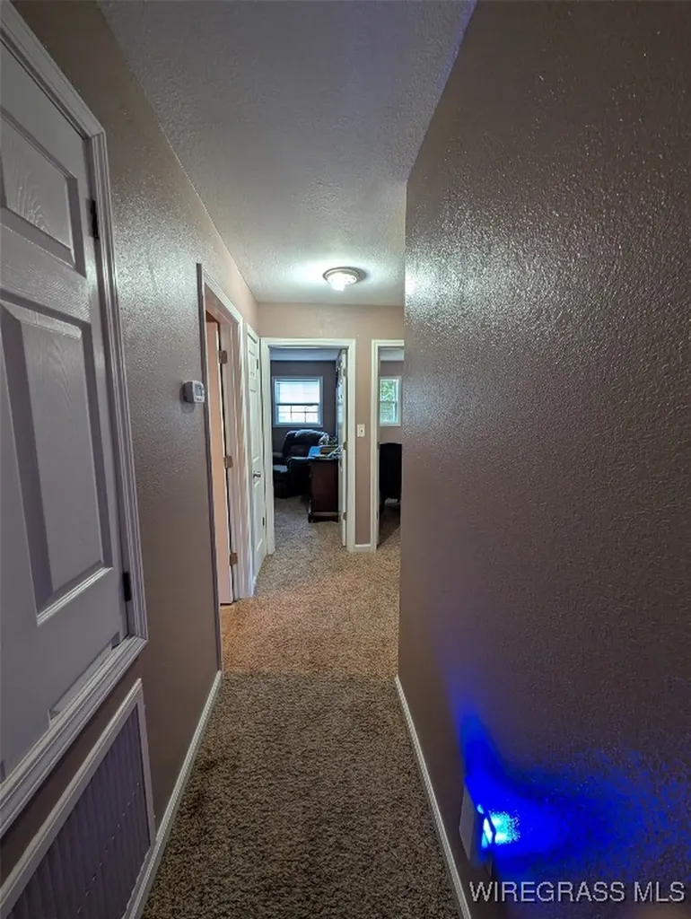 433 Joe Cook Street Cottonwood AL 36320