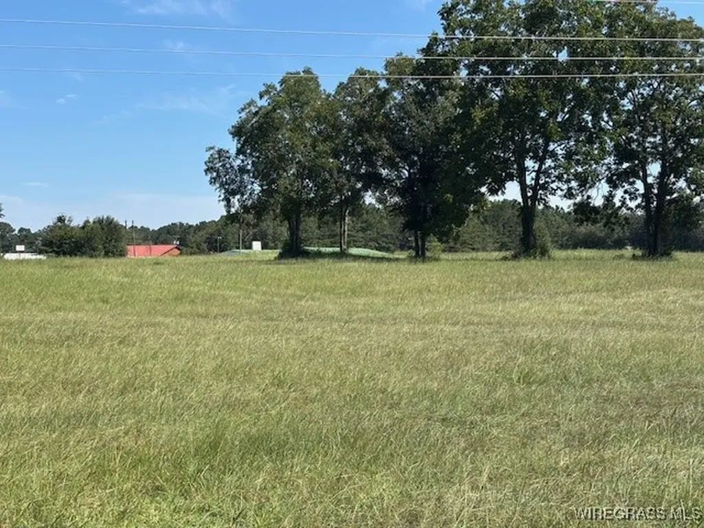 0 Masters Road Opp AL 36467