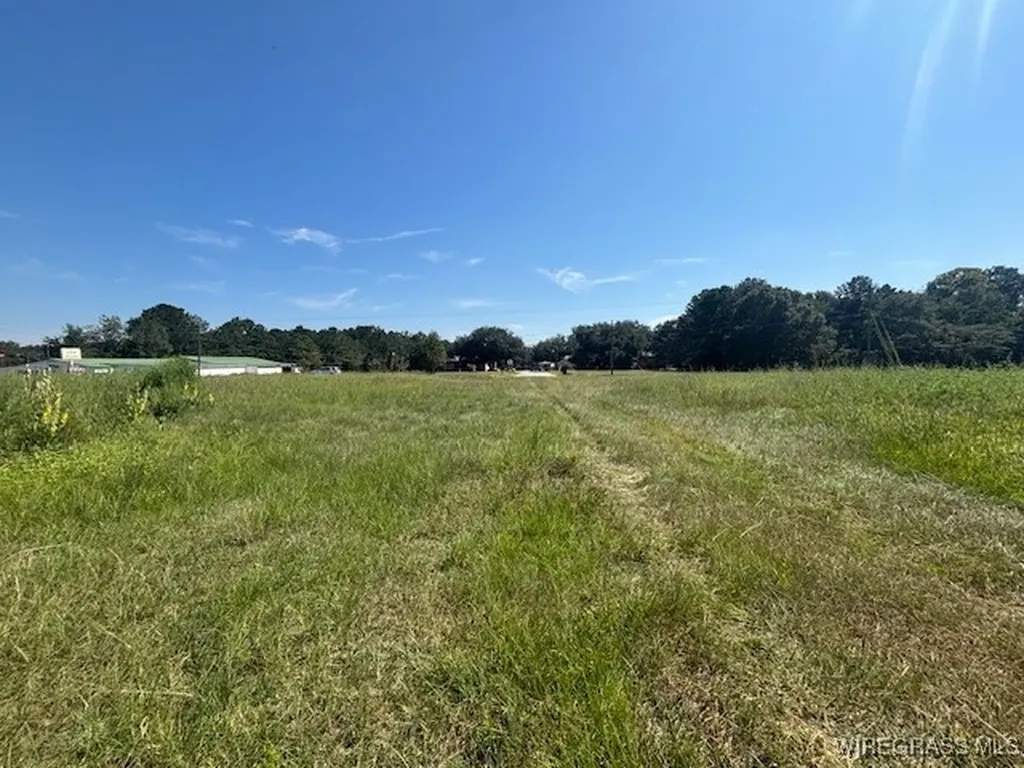 0 Masters Road Opp AL 36467