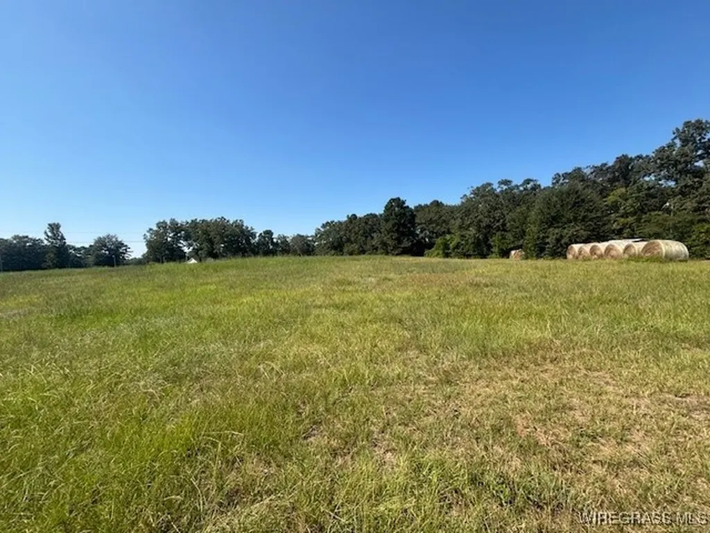 0 Masters Road Opp AL 36467