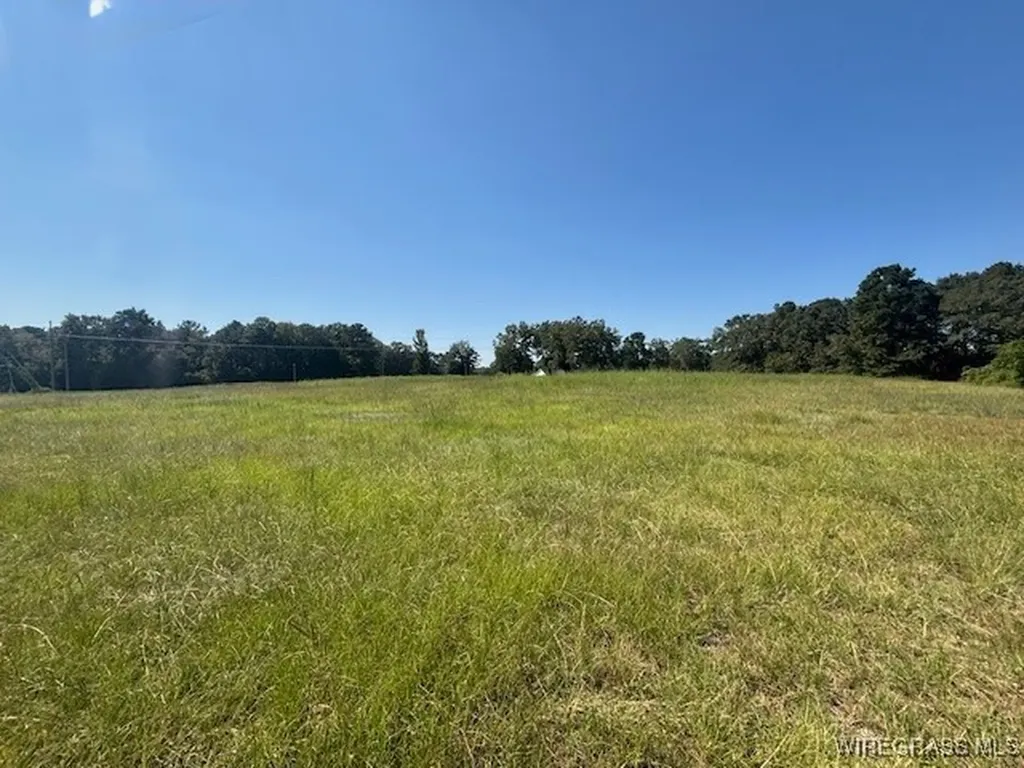 0 Masters Road Opp AL 36467