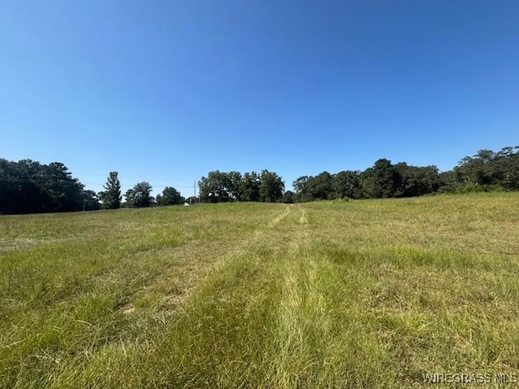 0 Masters Road Opp AL 36467