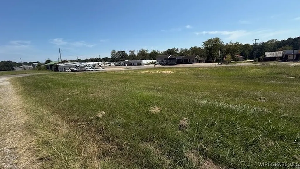 0 S Whaley Street Opp AL 36467