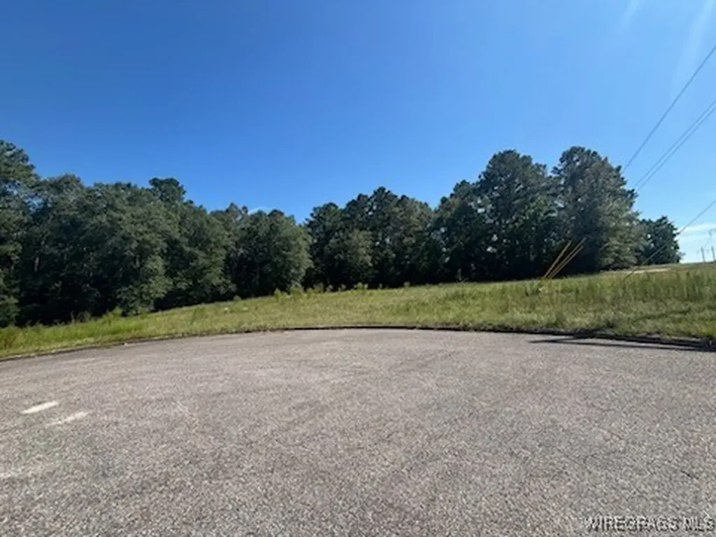 112 Eagle Trace Court Opp AL 36467