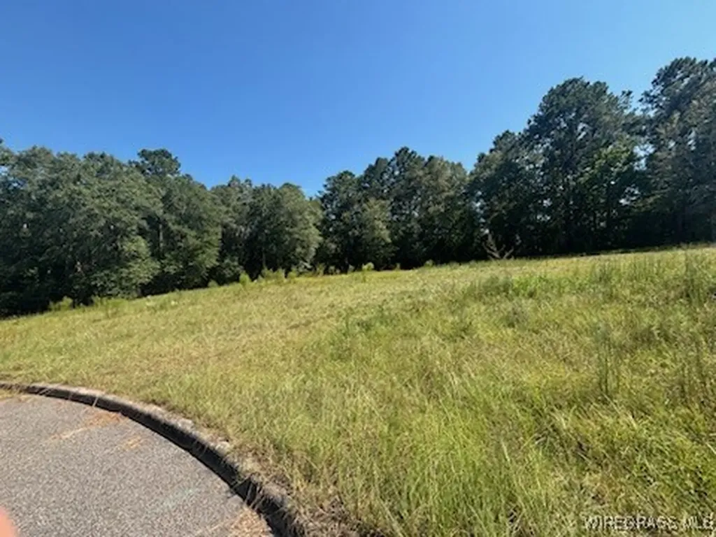112 Eagle Trace Court Opp AL 36467