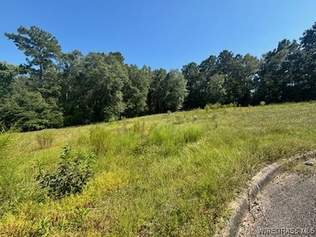 112 Eagle Trace Court Opp AL 36467