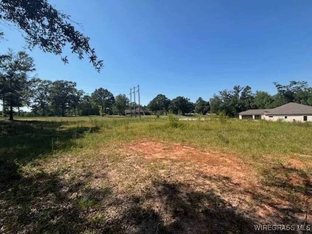 112 Eagle Trace Court Opp AL 36467
