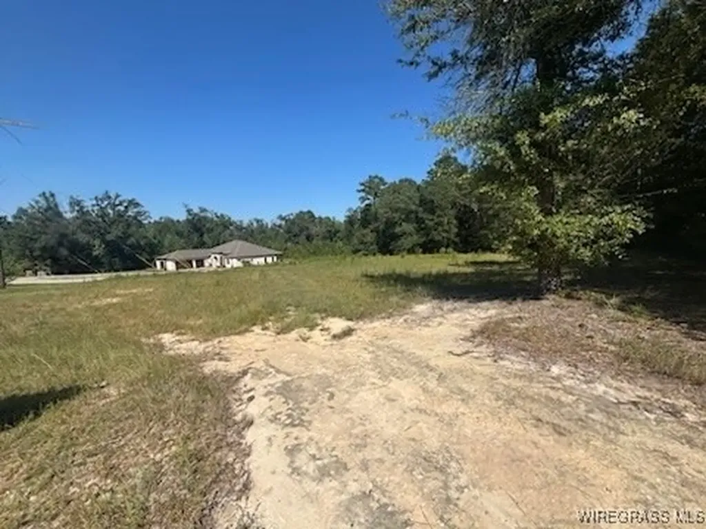 112 Eagle Trace Court Opp AL 36467