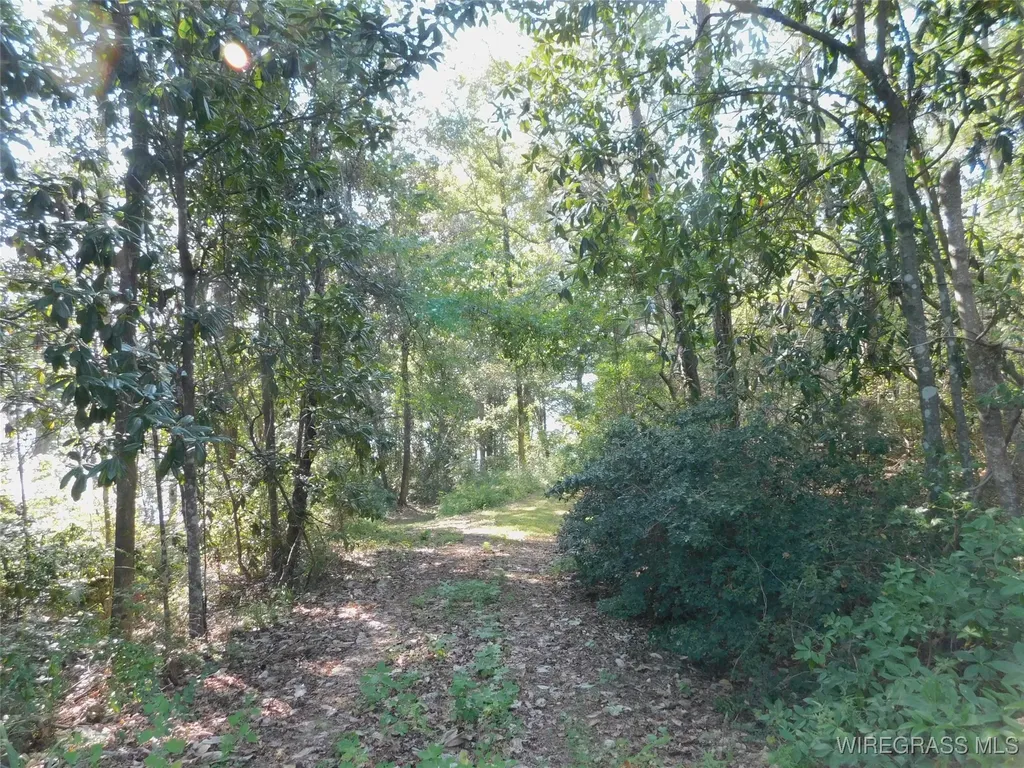 7 Greenbriar Loop Andalusia AL 36421