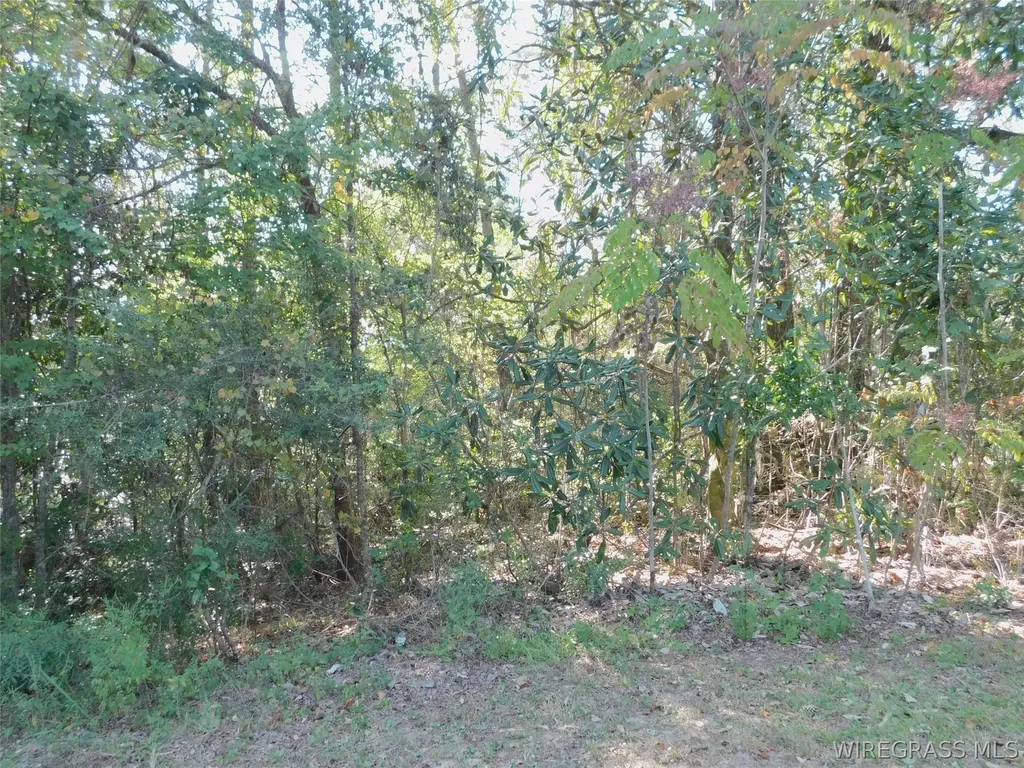 7 Greenbriar Loop Andalusia AL 36421