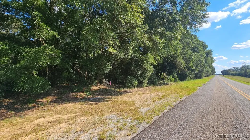 2 County Road 61 Ozark AL 36360