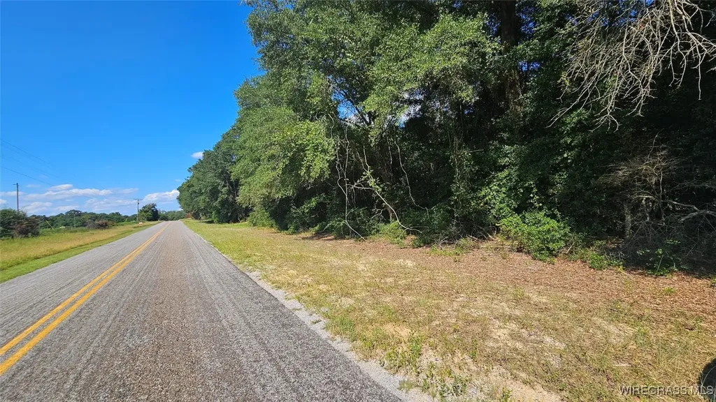 2 County Road 61 Ozark AL 36360