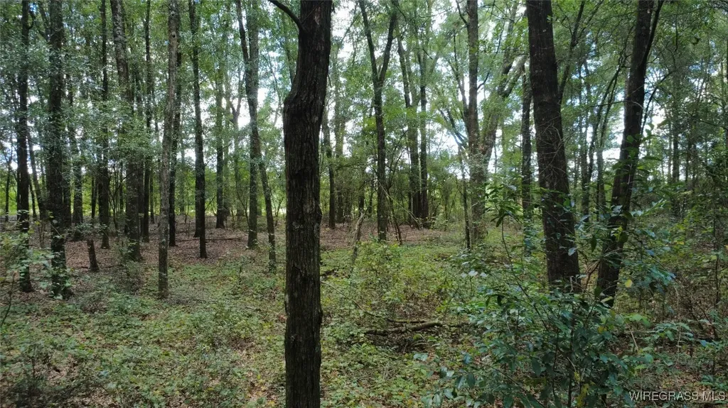 2 County Road 61 Ozark AL 36360